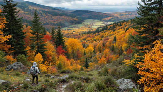 hiker looking down new england valley, fall colors